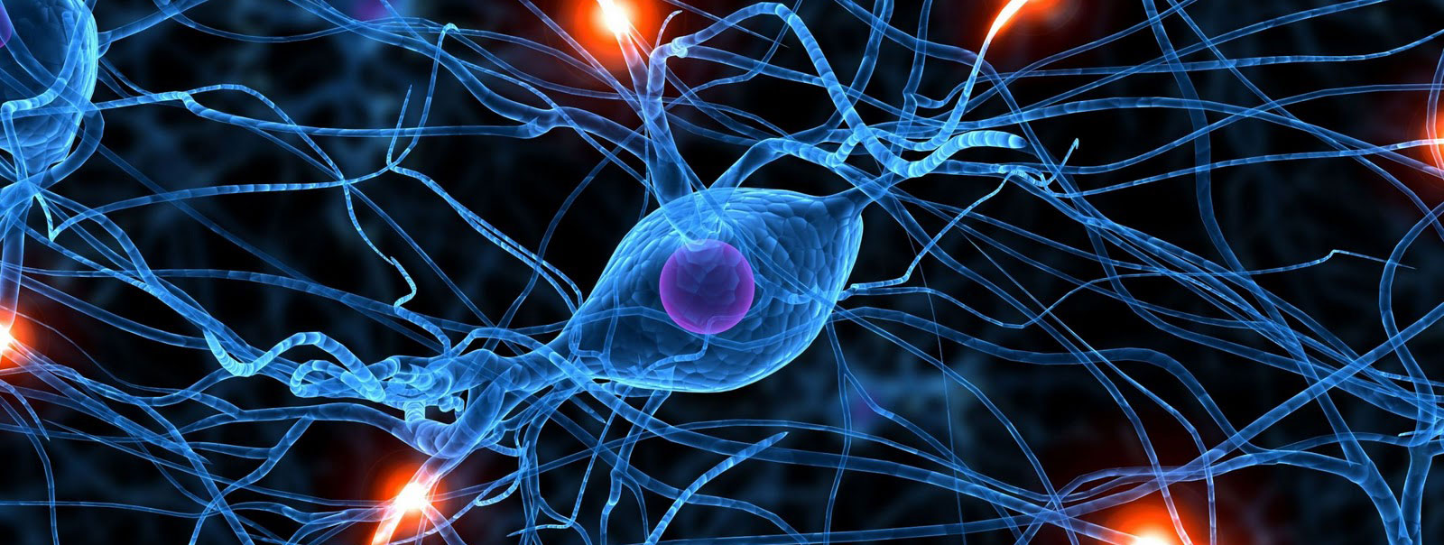 neuro Terapia individual em Santos